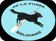 delafusee belgians logo